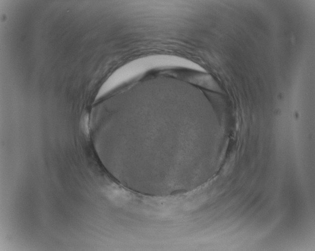 X0000070410041200606231839