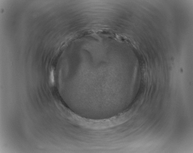 X0000070410042200606231839