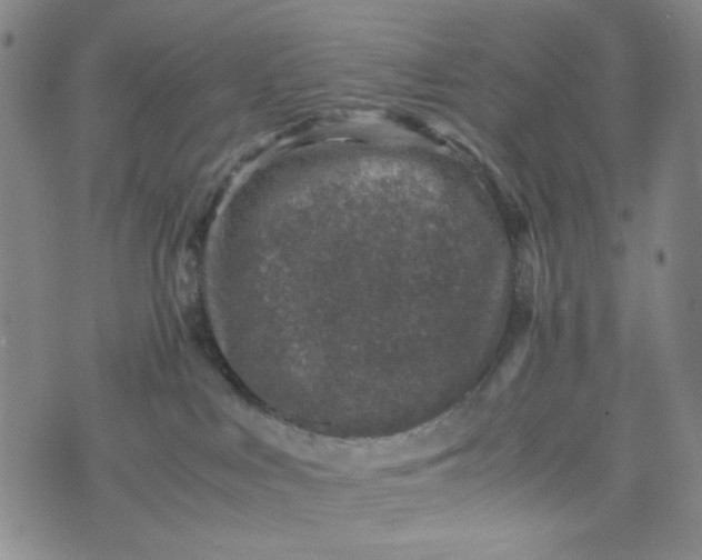 X0000070410043200606231839