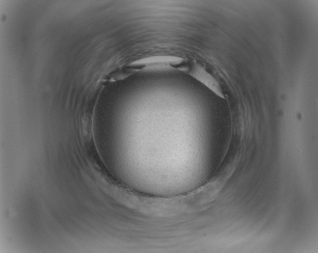 X0000070410044200606231839