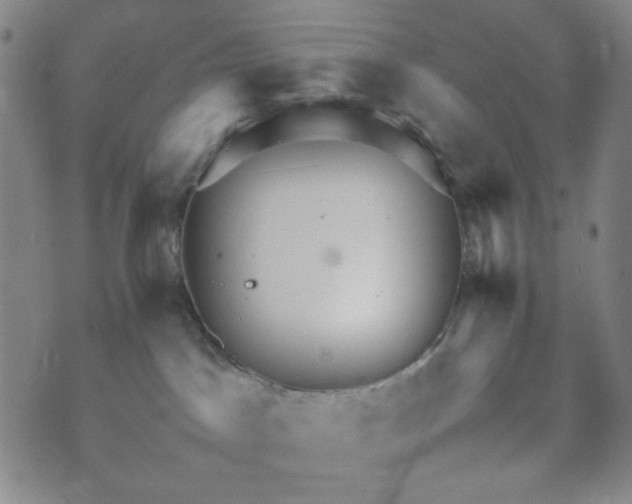 X0000070410045200606231839