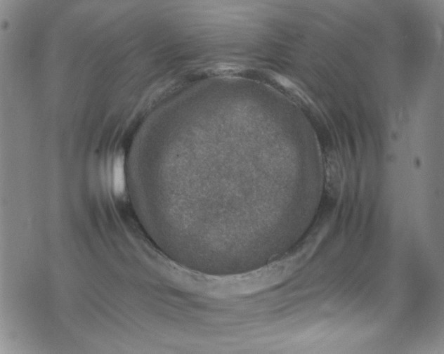 X0000070410046200606231839