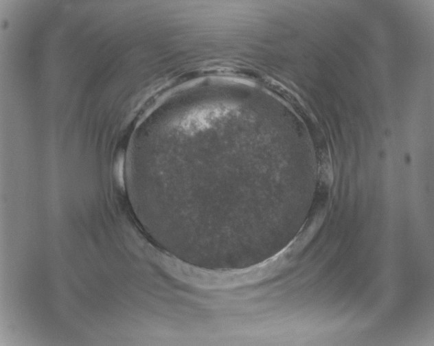 X0000070410047200606231839