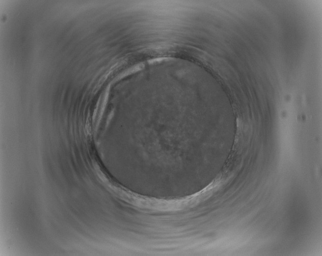 X0000070410048200606231839