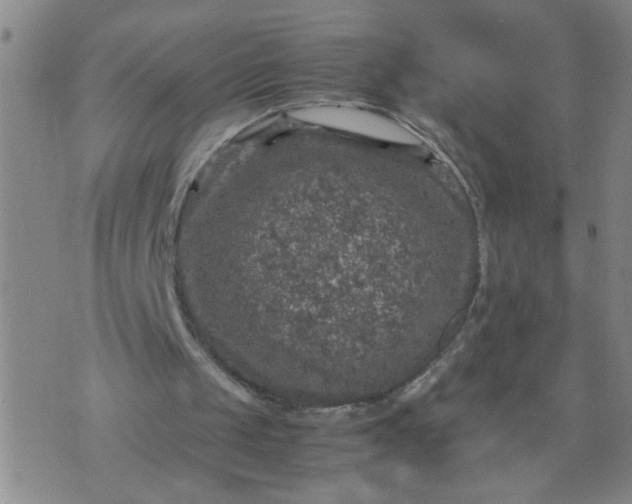 X0000070410049200606231838