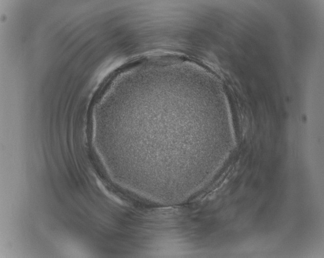 X0000070410050200606231838