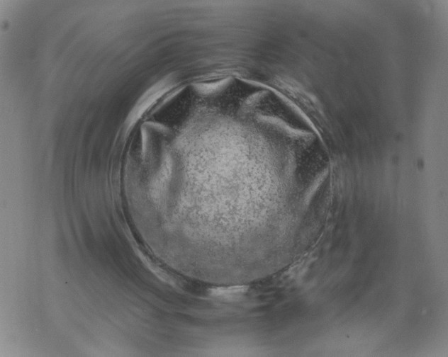 X0000070410051200606231838