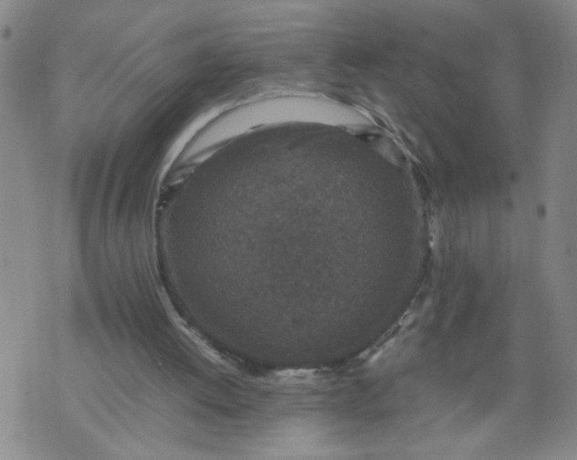 X0000070410052200606231838