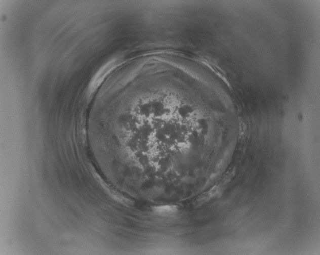 X0000070410053200606231838