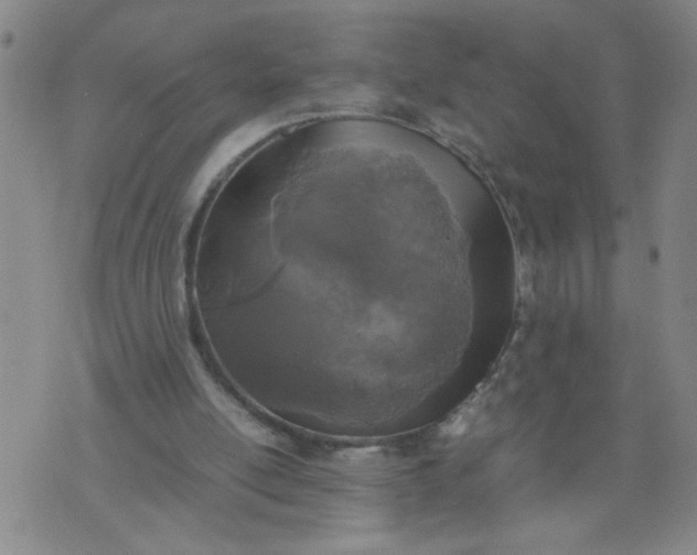 X0000070410054200606231838