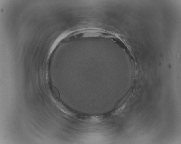 X0000070410056200606231838