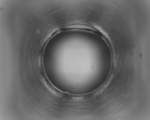 X0000070410057200606231838