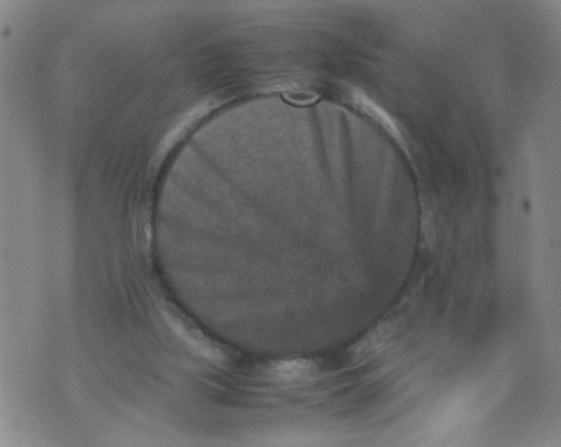 X0000070410059200606231838