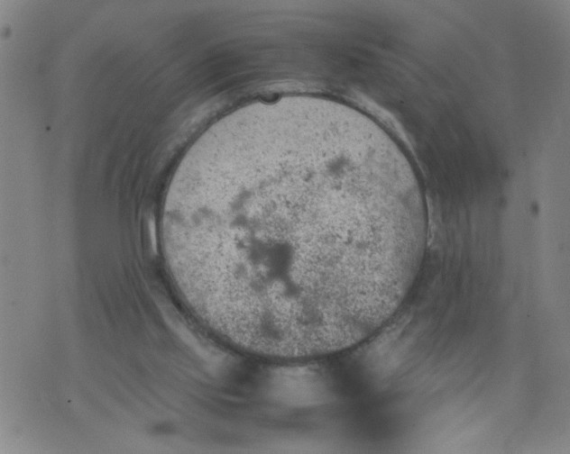 X0000070410061200606231838