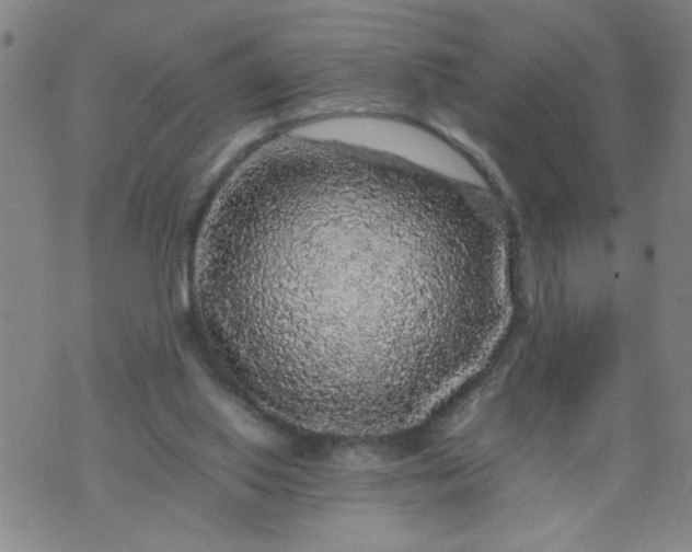 X0000070410062200606231838