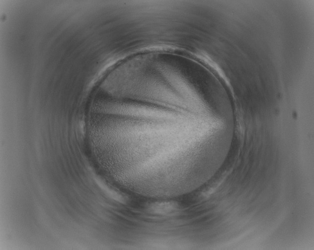 X0000070410063200606231838