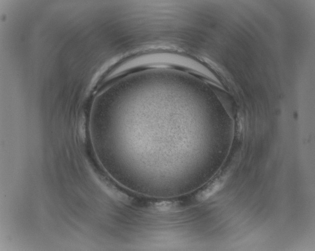 X0000070410064200606231838