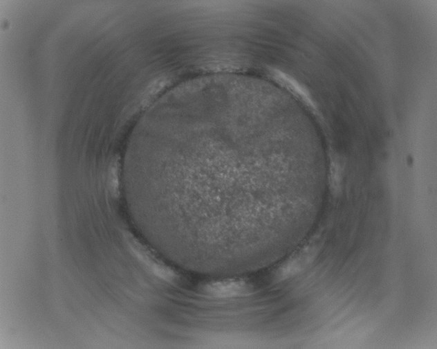 X0000070410065200606231838