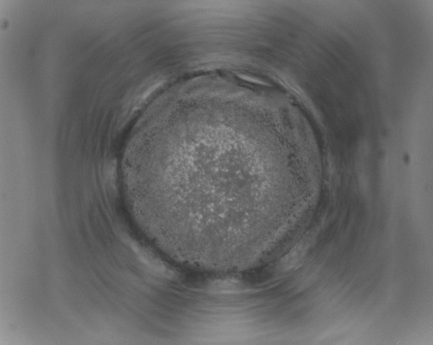 X0000070410066200606231838