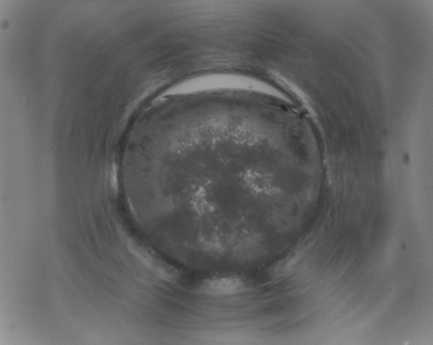 X0000070410067200606231838