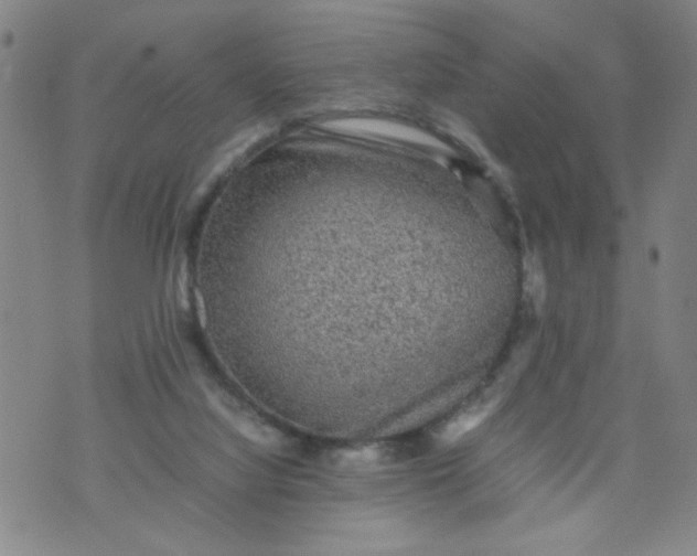 X0000070410068200606231838