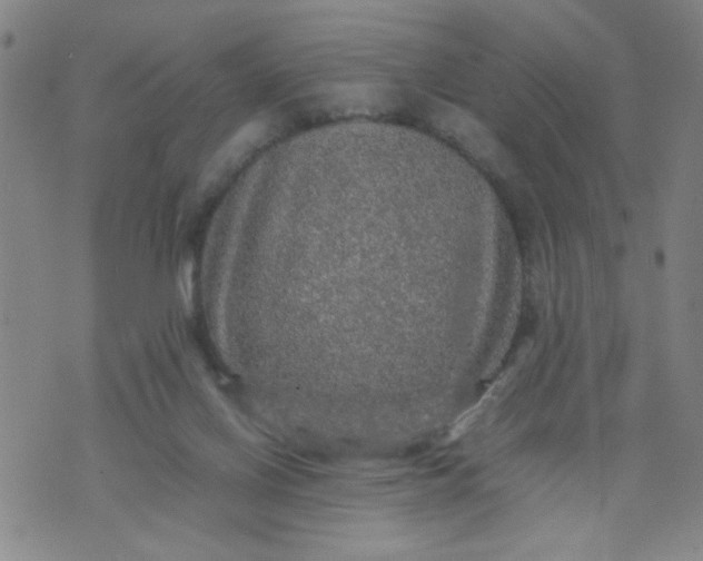 X0000070410070200606231838