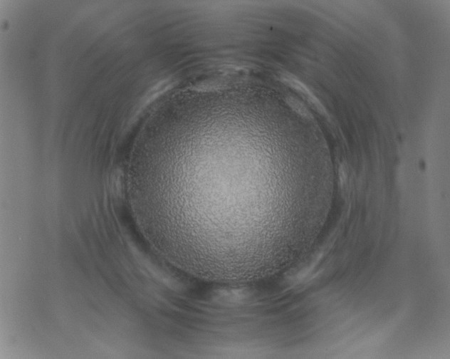 X0000070410071200606231838