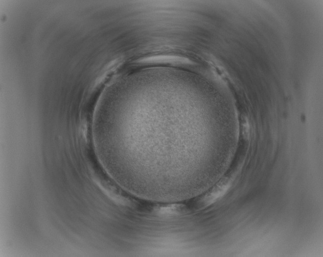 X0000070410072200606231838