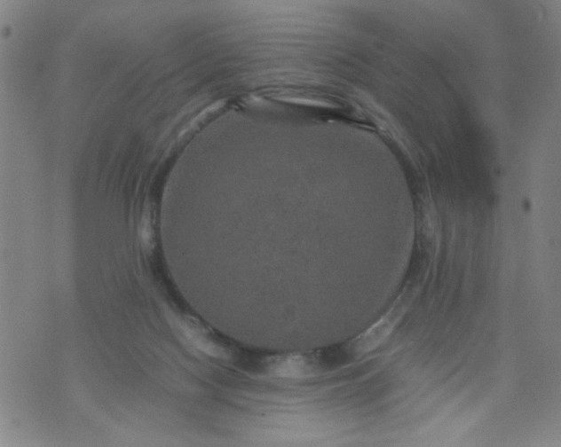 X0000070410074200606231838