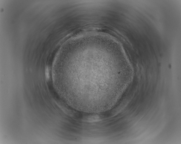 X0000070410075200606231838