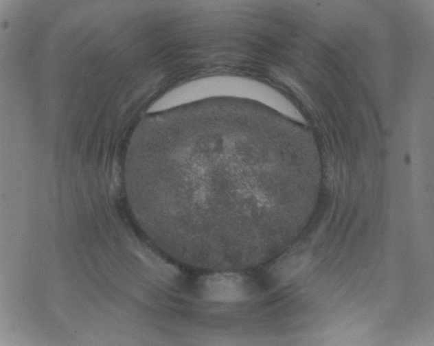 X0000070410077200606231838