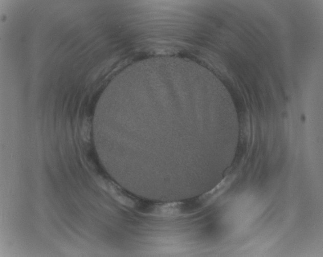 X0000070410078200606231838