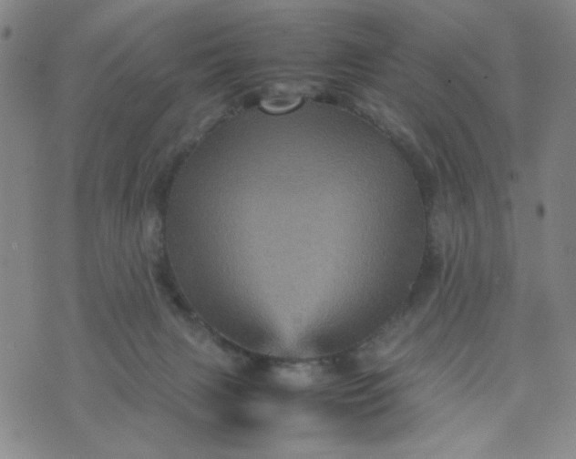 X0000070410079200606231839