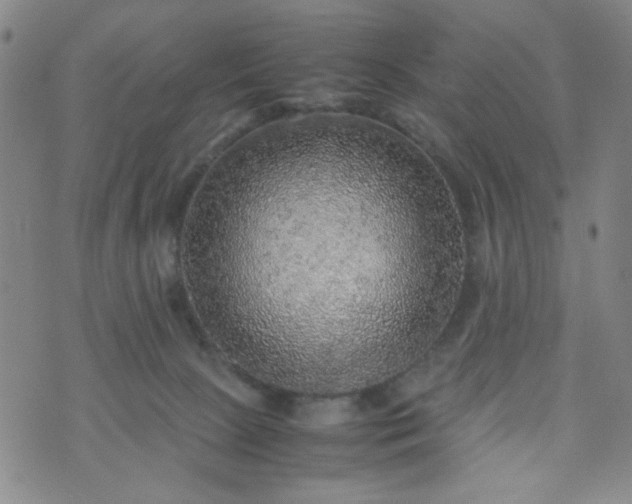 X0000070410081200606231839