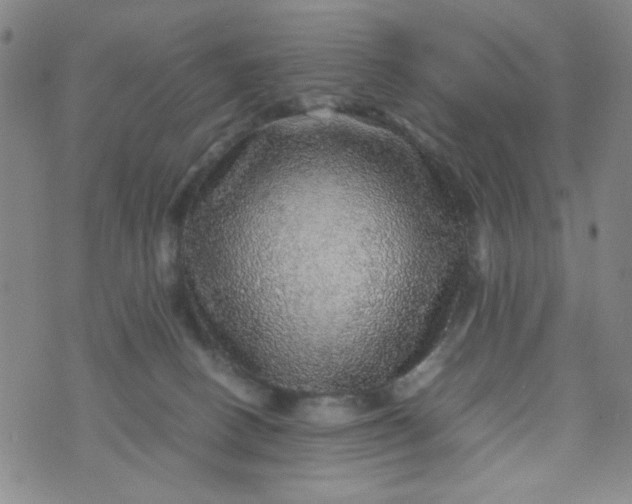 X0000070410082200606231839