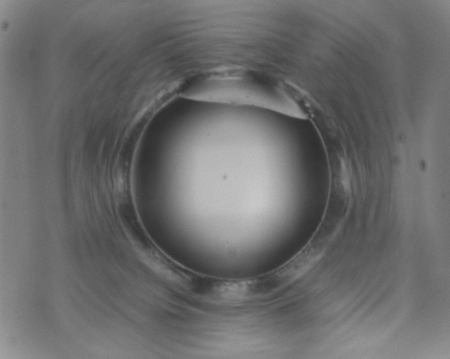 X0000070410084200606231839