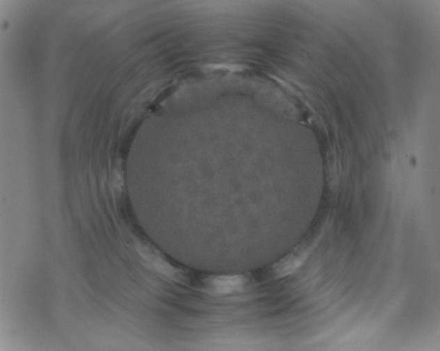 X0000070410085200606231839