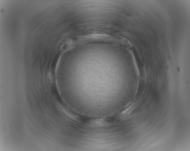 X0000070410086200606231839