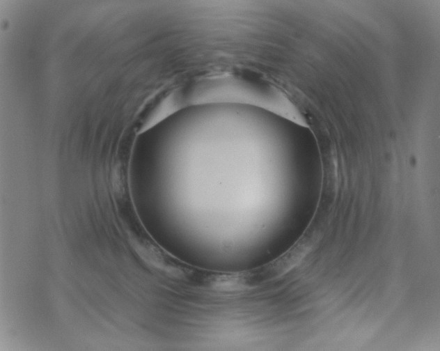 X0000070410088200606231839