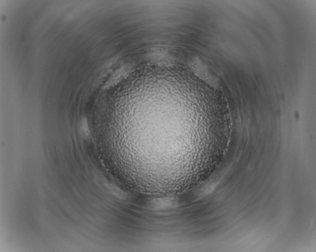 X0000070410089200606231839