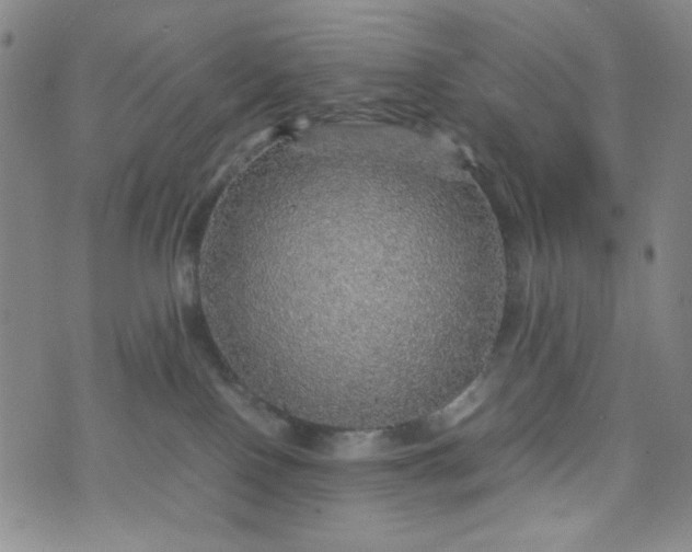 X0000070410090200606231839