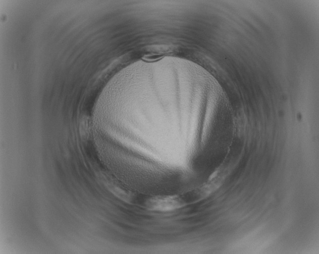 X0000070410093200606231839