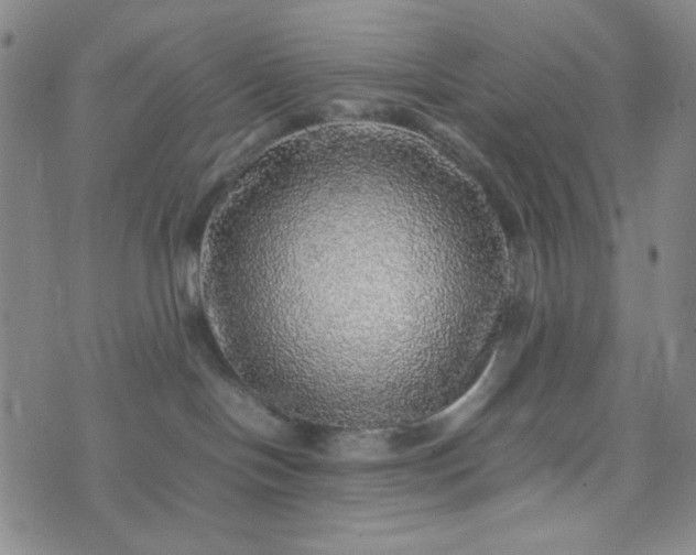 X0000070410094200606231839