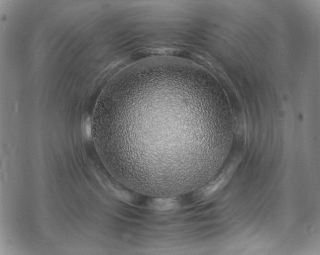 X0000070410095200606231839