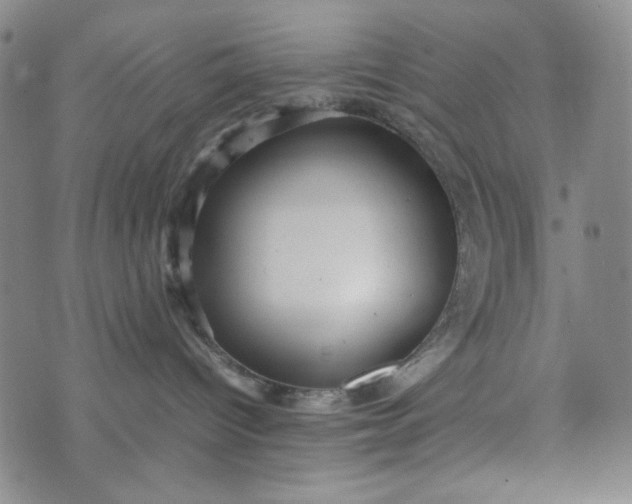 X0000070410096200606231839