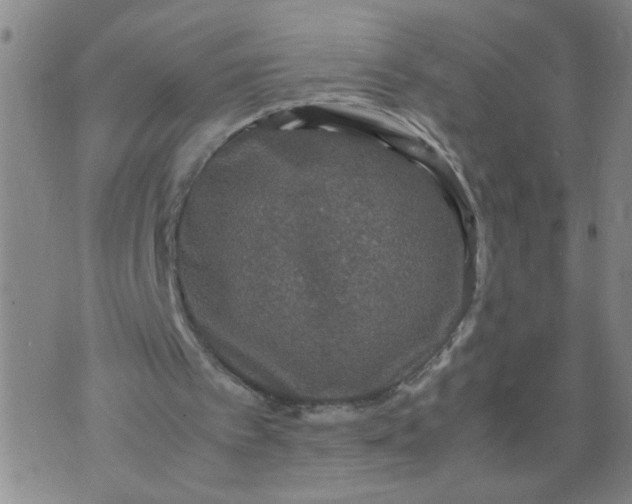 X0000070410097200606231838