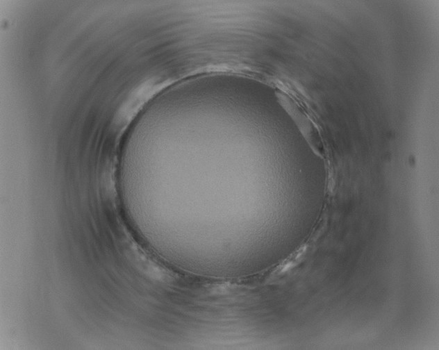 X0000070410098200606231838