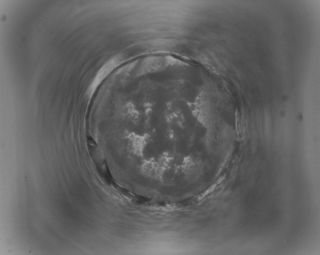 X0000070410099200606231838