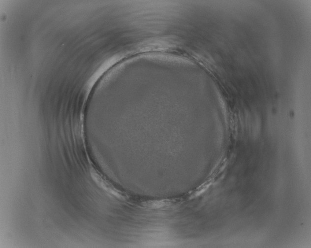 X0000070410100200606231838