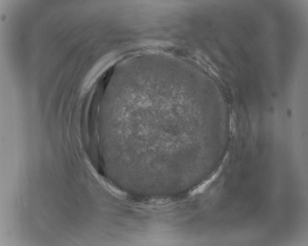 X0000070410101200606231838